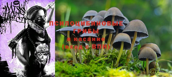 мет Балабаново